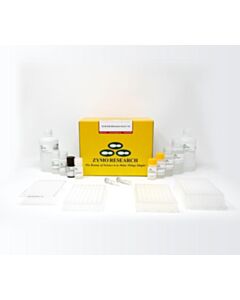 RPI Ez-96 Dna Methlyation-Direct Kit, Shallow-Well, 2 X 96 Rxns
