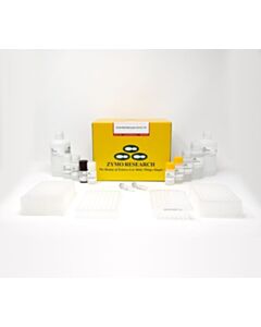 RPI Ez-96 Dna Methylation-Direct Kit, Deep-Well, 2 X 96 Reactions