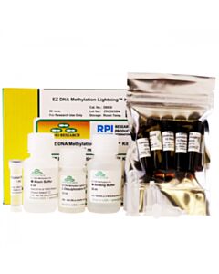RPI Ez Dna Methylation-Lightning Kit, 50 Reactions