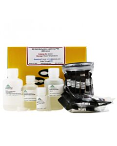 RPI Ez Dna Methlyation-Lightning Kit, 200 Reactions
