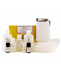 RPI Ez-96 Dna Methylation-Lightning Kit, Deep-Well, 2 X 96 Rxns