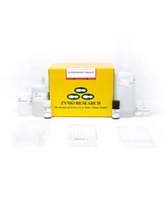 RPI Ez-96 Dna Methylation Magprep, 8 X 96 Rxns