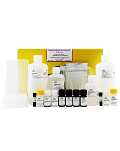 RPI Ez-96 Dna Methylation-Gold Magprep, 4 X 96 Rxns