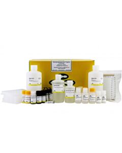 RPI Ez-96 Dna Methylation-Direct Magprep, 4 X 96 Rxns