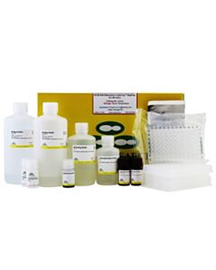 RPI Ez-96 Dna Methylation-Lightning Magprep, 4 X 96 Preps