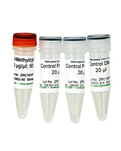 RPI Methylated/Non-Methylated Control Dna & Primer Set