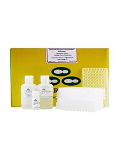 RPI Zr-96 Chip Dna Clean & Concentrator, 2 X 96 Preps
