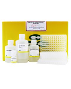RPI Zr-96 Chip Dna Clean & Concentrator, 4 X 96 Preps