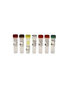 RPI Zymo OneStep PLUS qMethyl PCR Kit