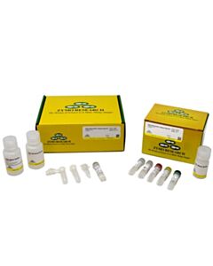 RPI Zymo-Seq ATAC Library Kit, 12 preps