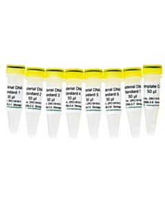 RPI Femto Bacterial Dna Standards And No Template Control (#1-8)