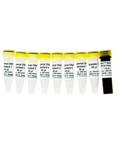 RPI Femto Bacterial Dna Quantification Kit