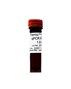 RPI Femto Fungal Qpcr Premix