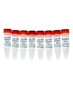 RPI Fungal Dna Standards And No Template Control (#1-8)