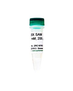 RPI 20x Sam, S-Adenosylmethionine, 200 Μl