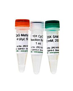 RPI Cpg Methylase, M. Sssl, 200 U