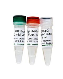 RPI Cpg Methylase, M. Sssl, 400 U