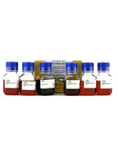 RPI Dual Media Set, 100 mL Eb & 500 mL Ob