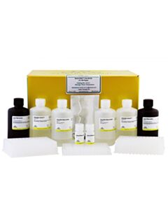 RPI Quick-Rna Viral 96 Kit, 4 X 96 Preps