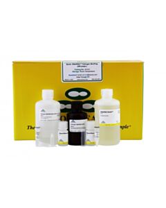 RPI Quick-Dna/Rna Pathogen, Miniprep, 200 Preps
