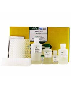 RPI Quick-Rna 96 Kit, 4 X 96 Preps