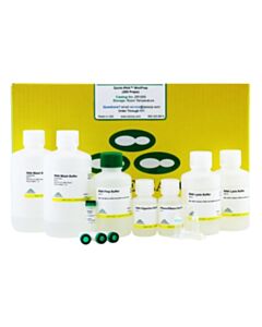 RPI Quick-Rna Miniprep Kit, 200 Preps