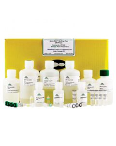 RPI Quick-Rna Miniprep Plus Kit, 200 Preps