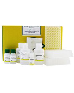 RPI Rna Clean & Concentrator-96, 2 X 96 Preps