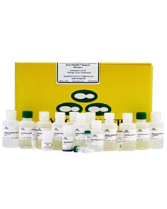 RPI Quick-Dna/Rna Magbead Kit, 96 Preps