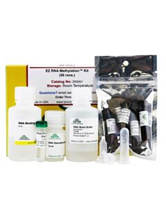 RPI Ez Rna Methylation Kit, 50 Preps