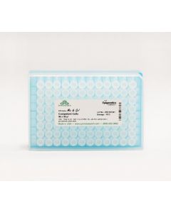 RPI Mix & Go! Competent Cells - Dh5 Alpha, 96 X 50 Ul
