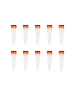RPI Mix & Go! Competent Cells-Tg1, 10 X 100 Μl