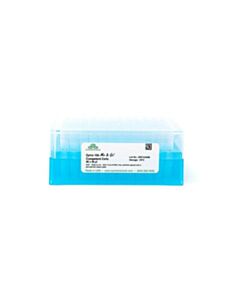RPI Mix & Go! Competent Cells-Zymo 10b, 10 X 100 Μl, 10 Tubes