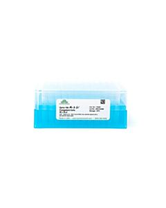 RPI Mix & Go! Competent Cells-Zymo 10b, 96 X 50 Μl, 12 X 8-Tube Strips
