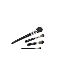 Sartorius Brush, Size Small 100 mm