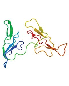 Sigma-Aldrich Protease And Phosphatase I