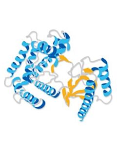 Sigma-Aldrich Hdac2 (1-488)(His-Tag)Human Recombinant