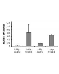 Sigma-Aldrich Human Ips Reprogramming Boost Supplem