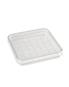 Simport Petri Dish 100x100x15mmW/Grid, 500/CS