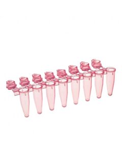 Simport Amplitube 8 Tube StripsW/Individually Attached Caps