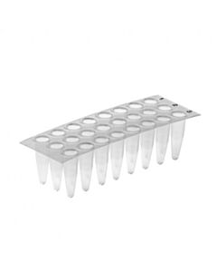 Simport Amplate 24 Wells Flex. Plate, PP Natural, 50/CS