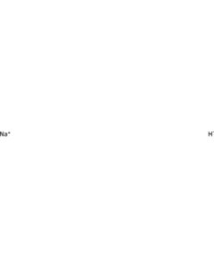 Spectrum Chemical Sodium Hydride,(60%,di