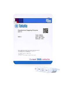 Takara Faustovirus Capping Enzyme (S17), 500 U