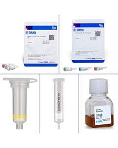 Takara Adeno-X Adenoviral System 3 (Tet-On 3G Inducible) \10 Rxns
