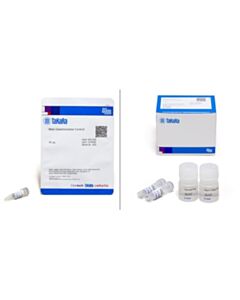 Takara Xfect Protein Transfection Reagent \30 Rxns