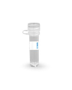 Takara Lenti-X 293T Cell Line \1 mL