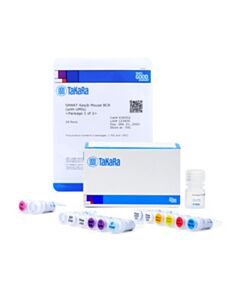 Takara SMART-Seq Mouse BCR (with UMIs), 24 Rxns
