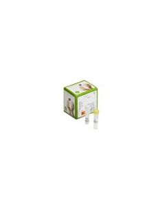 Cytiva illustra ExoProStar Enzymatic PCR clean up technology illustra Exonuclease I and Alkaline