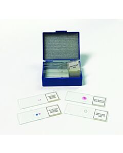 United Scientific Biology Prepared Slide Set Of 14