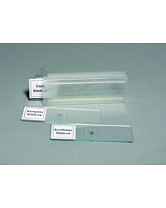 United Scientific Prepared Slide Set, 4 Slides